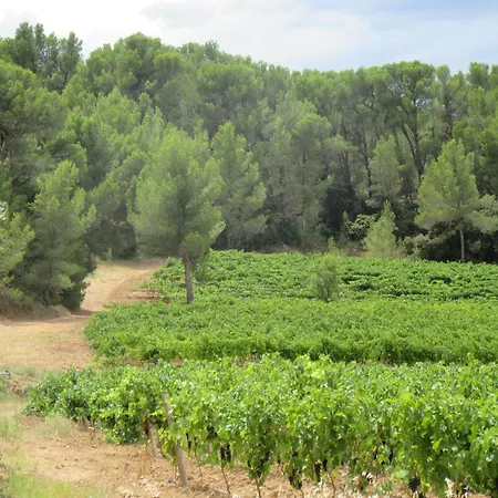 House On Winery Holiday home Azille