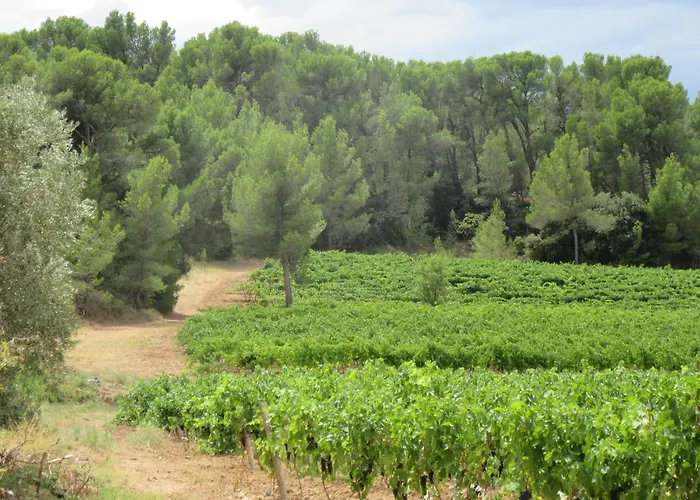 House On Winery Dom wakacyjny Azille